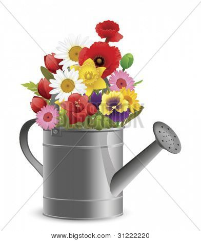 Regadera con flores de primavera