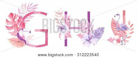Watercolor Hand Drawn Tropic Letters Monograms Or Logo. Uppercase G, H, I, With Jungle Herbal Decora