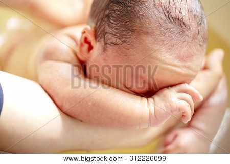 The Act Of Bathing A Newborn Baby . And Wash The Back Of A Newborn Baby. Bath Of The Decoction Of Th