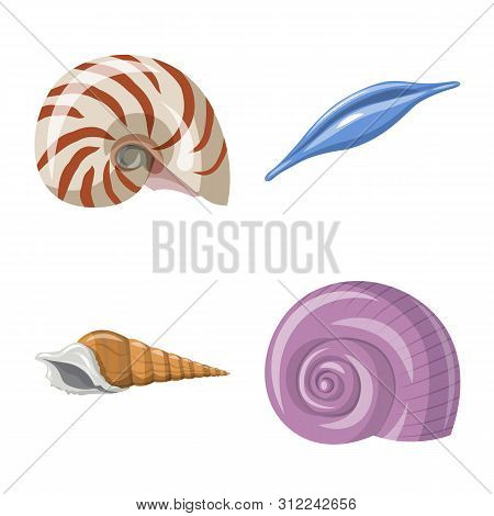 Vector Illustration Of Seashell And Mollusk Sign. Set Of Seashell And Seafood Stock Vector Illustrat