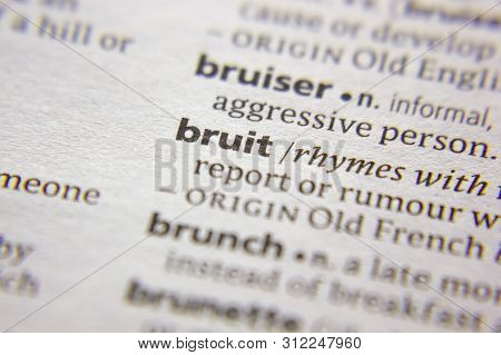 Word Or Phrase Bruit In A Dictionary