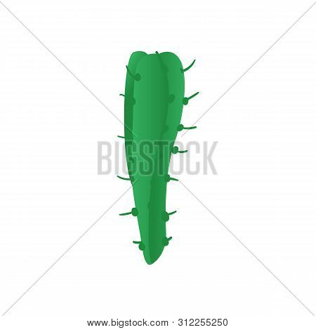 Green Ribbed Columnar Bolivian Torch Cactus Cartoon Style
