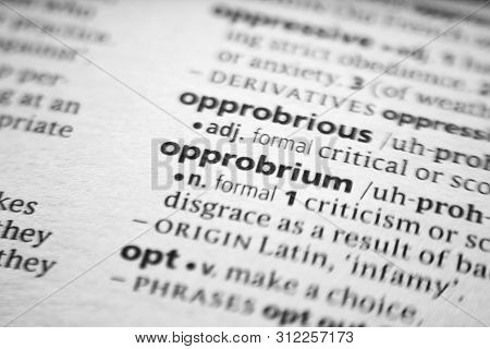 Word Or Phrase Opprobrium In A Dictionary