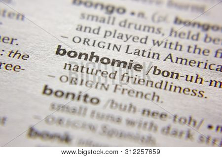 Word Or Phrase Bonhomie In A Dictionary