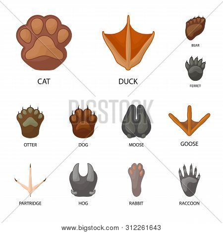Vector Illustration Of Animal And Print Logo. Set Of Animal And Footprint Stock Vector Illustration.