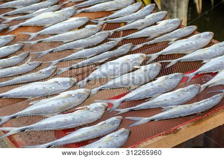 Thai Salted Fish Put Up To Dry On The Net, Food Preservation, Salted Fish Is Fish Cured With Dry Sal
