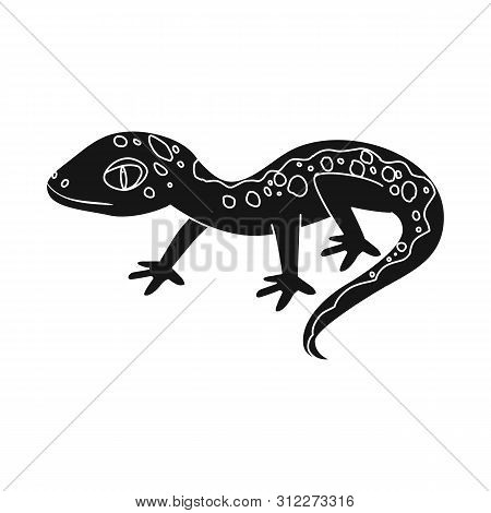 Vector Design Of Lizard And Gray Symbol. Collection Of Lizard And Dragon Stock Vector Illustration.