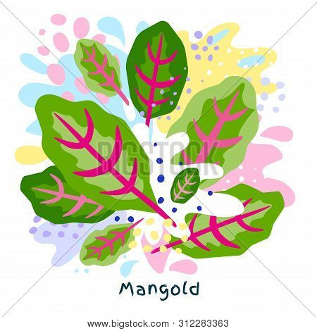 Fresh Mangold Green Spinach Vegetable Juice Splash Organic Salad Vegetables Condiment Spice Splatter