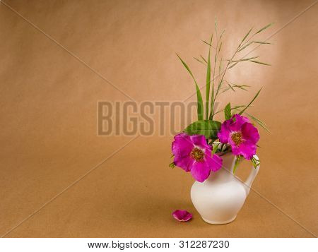 Two Flowers And Leaves Of Dog Rose And Some Meadow Grass In Little White Ceramic Jug And Lone Doge R