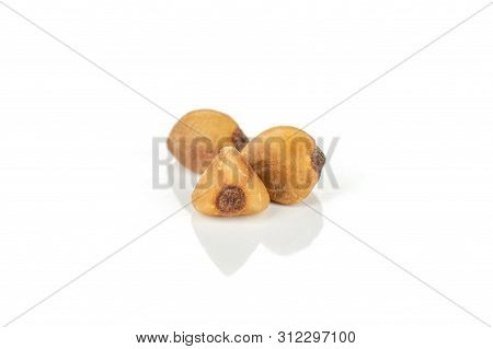 Closeup Of Three Whole Raw Brown Buckwheat Grain Isolated On White Background