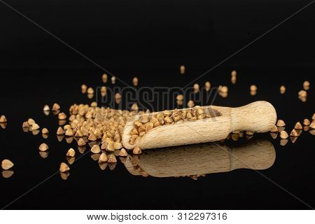 Lot Of Whole Hulled Raw Brown Buckwheat Grain With Wooden Scoop Isolated On Black Glass