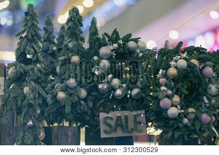 Christmas Trees Sale In Market, Holiday Trade