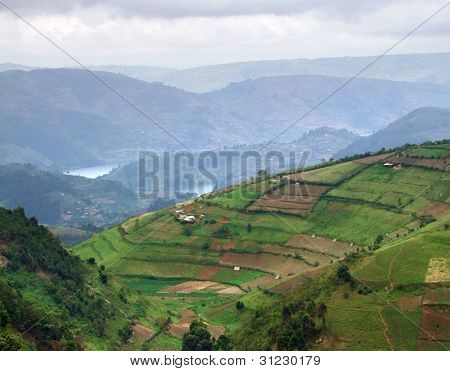 Virunga Dağları havadan görünümü