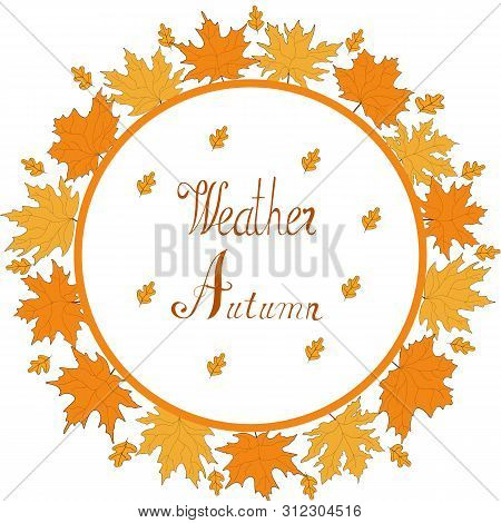 Autumn Maple Leaves Vector Illustration Hand Draw. Vector  Hand Draw Celebrate Autumn.