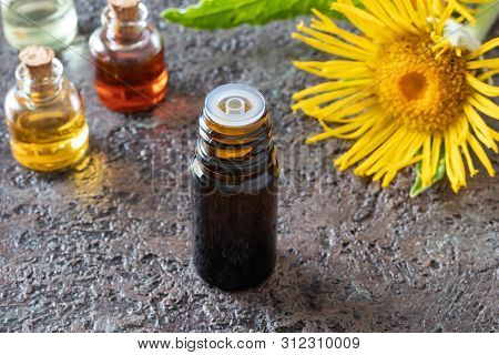 A Bottle Of Elecampane Essential Oil With Blooming Inula Helenium Plant