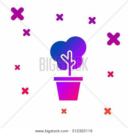 Color Tree In Pot Icon Isolated On White Background. Houseplant In Pots. Natural Decor For Home And 
