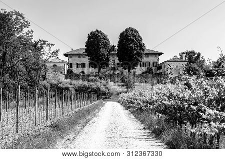 The Fields Of Friuli Venezia-giulia Cultivated With Grapevines