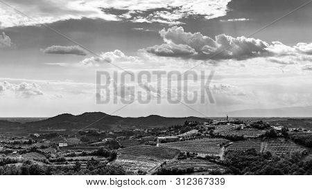 The Beautiful Vineyard Of Collio, Friuli Venezia-giulia, Italy