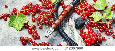 Arabia Shisha With Currant Tobacco