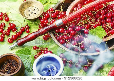 Arabia Shisha With Currant Tobacco