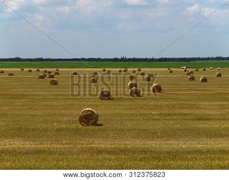 Summer Landscape With The Hay Bales In The Field. Freshly Rolled Hay Bales On Field In Ukraine. Rura