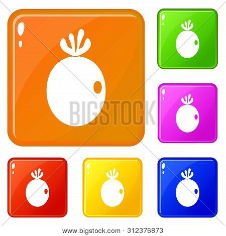 Feijoa Fruit Icons Set Collection 6 Color Isolated On White Background