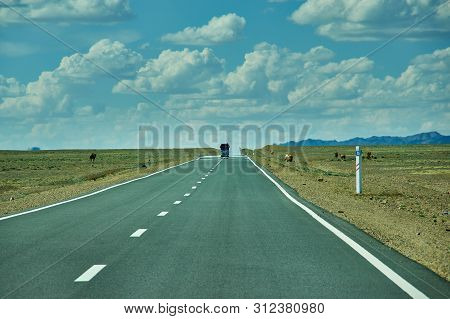 Road In Gobi Desert