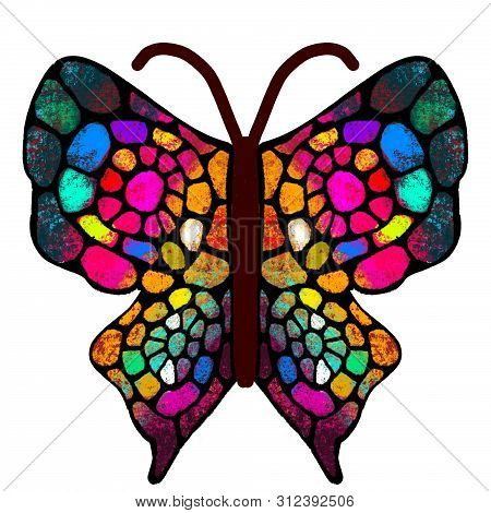 Butterfly. The Multi-colored, Painted Butterfly. Insect Illustration