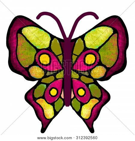 Butterfly. The Multi-colored, Painted Butterfly. Insect Illustration