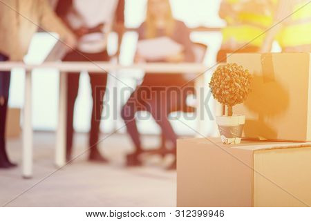 plant in flowerpot on cardboard box with sunligt through the windows and multiethnic business team in background during moving in at new unfinished startup office building