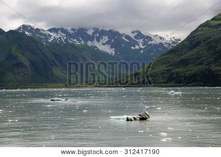 Green Hills And Mountains Of Yakutat Bay, Alaska.