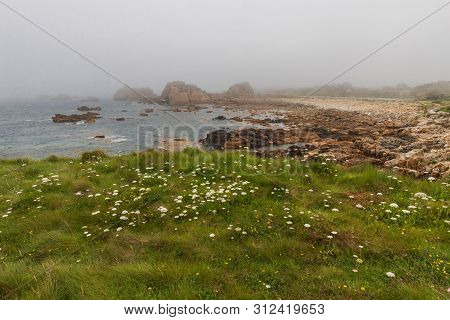 Plougrescant Pink Granite Coast Bretagne Park And Mountains Coast Of Armor