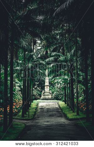 The Terra Nostra Garden Park On Sao Miguel Island, Furnas, Azores. It Is Located In The Midst Of Thi