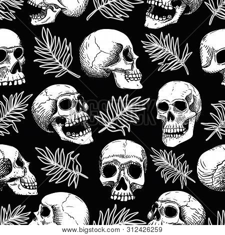 Vector Seamless Pattern With Human White Skulls And Palm Tropical Leaves. Line Art On A Black Backgr