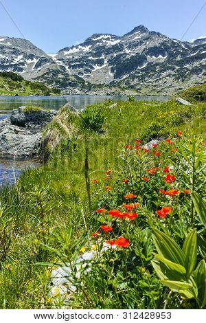 Landscape With Demirkapiyski Chukar Peak And Popovo Lake, Pirin Mountain, Bulgaria