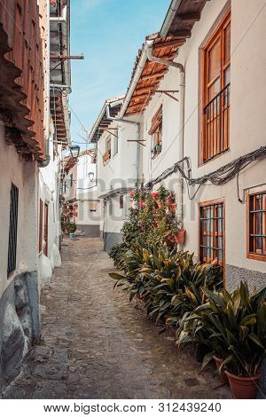 Street Full Of Flowerpots On The Floor And The Walls, In Spain