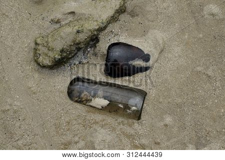 Glass Bottle Half Buried In The Beach Sand.