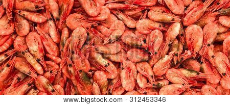 Seefood Banner Site Of Frozen Shrimp Color Coral Live. Coral Shrimps In The Fish Market.