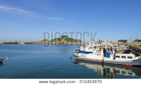 Kabushima Island. The Island Is Noted As A Nesting Ground For Black-tailed Gulls And Has Been Protec