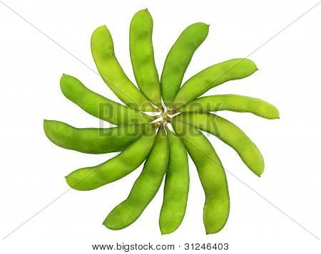 花の形の殻の枝豆