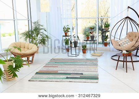 Living Room Interior With Indoor Plants, Swing And Papasan Chairs. Trendy Home Decor