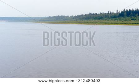 Hazy From The Smoke The Day The Gulls In The North Of Yakutia Fly Over The Water Of The River Vilyui