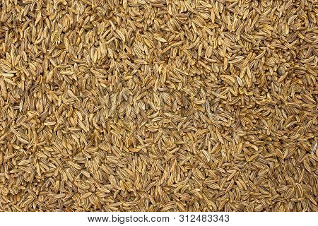 Lot Of Whole Dry Caraway Fruits Macro Flatlay Isolated