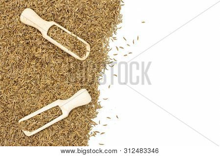 Lot Of Whole Dry Caraway Fruits In Two Wooden Scoops Flatlay With Copyspace Isolated On White Backgr