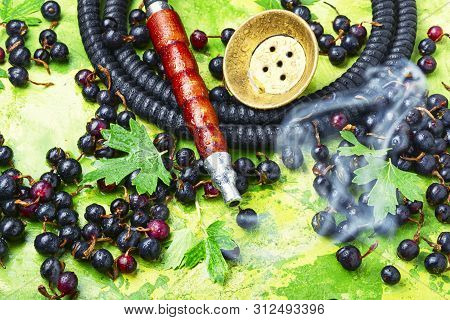 Arabia Shisha With Black Currant