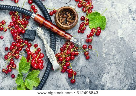 Shisha Hookah With Red Currant