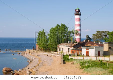 June Day At The Old Lighthouse. Leningrad Region, Russia