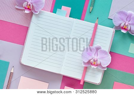 Floral Paper Background In Pink And Mint Colors. Orchid Flowers On Geometric Background With Copy-sp