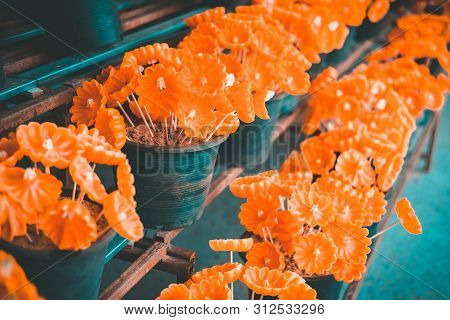 Flower Candle For Making Worship Merit To Buddha