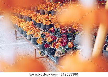 Flower Candle For Making Worship Merit To Buddha